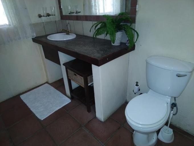 Buona Notte Guesthouse Johannesburg Esterno foto